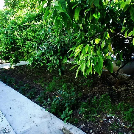 Triple 127b 게스트하우스 3*